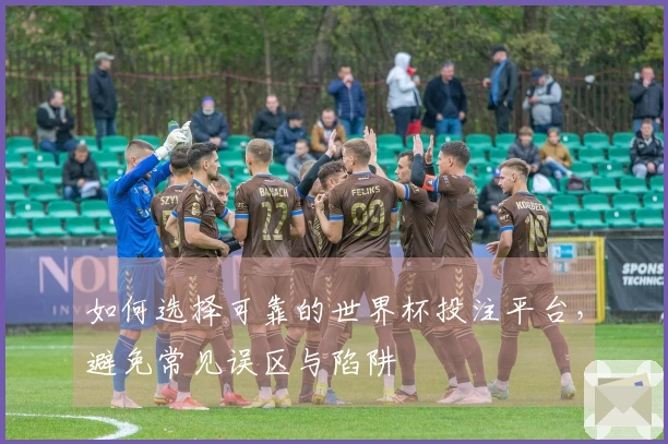 如何选择可靠的世界杯投注平台，避免常见误区与陷阱