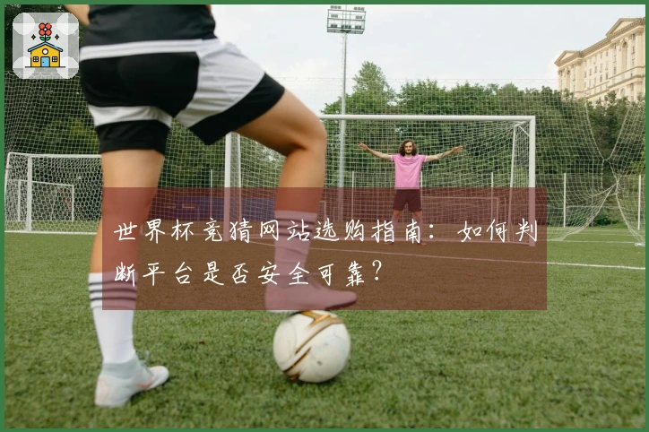 世界杯竞猜网站选购指南：如何判断平台是否安全可靠？